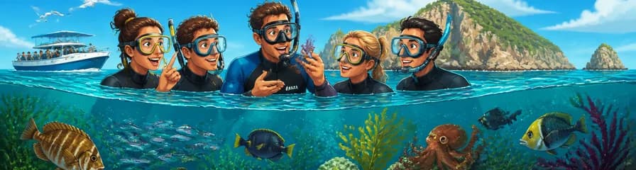 Inmersión Eco-snorkel en el archipiélago de las Islas Medes