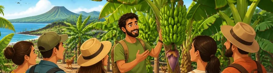Recorrido ecológico por un cultivo de plátanos en La Palma