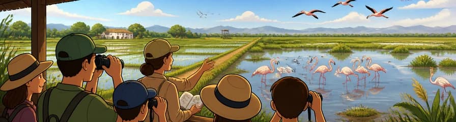 Descubre el Tour por los Arrozales y Flamencos del Delta del Ebro