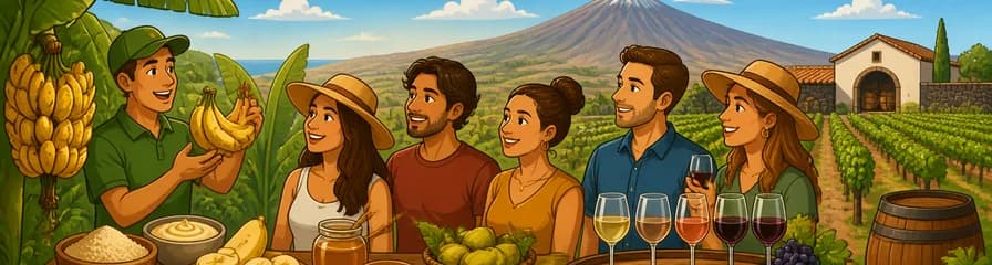 Descubre el Plátano Canario y los Vinos de Altura de Tenerife en una Experiencia Gastronómica